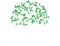 Parkhill Tree & Land Management LLC Logo